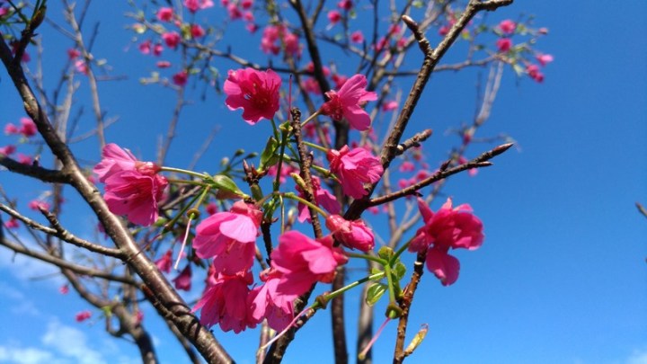 P_20180127_122224_vHDR_Auto