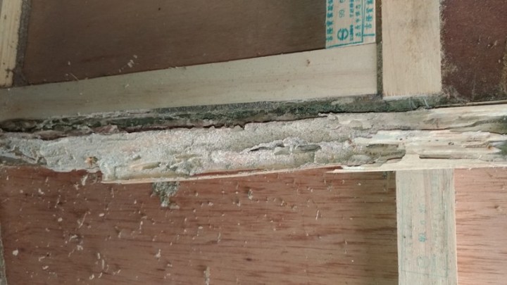 P_20180625_120719_vHDR_Auto