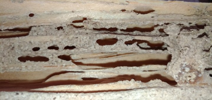 P_20180625_131335_vHDR_Auto_2