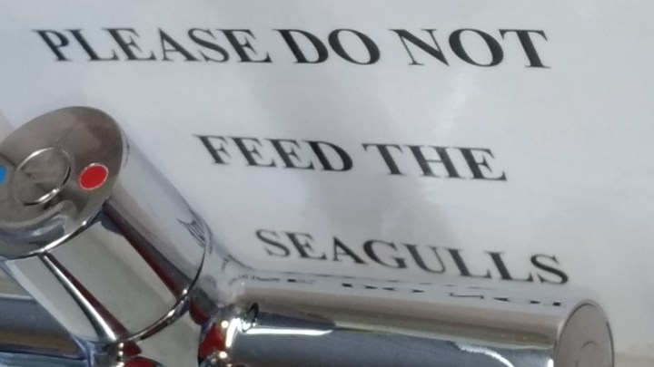 P_20181019_170540_vHDR_Auto